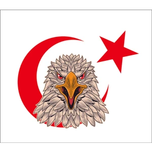 Sticker Fabrikası Kartal Türk Bayrağı Ay Yıldız Sticker 00946