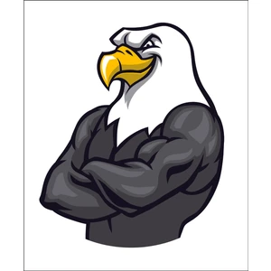 Sticker Fabrikası Kara Kartal Beşiktaş 1903 Şahin Sticker 00959
