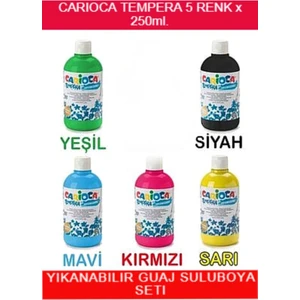 Tempera Süper Yıkanabilir Guaj Sulu Boya Seti 5 Renk x 250 ml