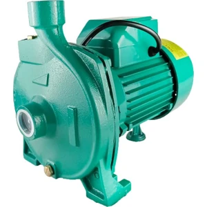 Italy Style CPM158 1 Hp Su Pompası Santrifüj Pompa 30MSS 80 L/dak