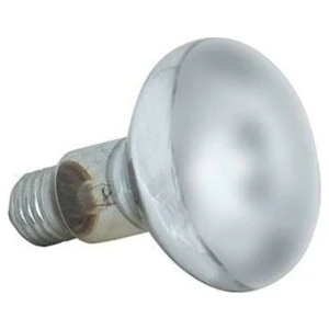 Isıtıcı Lamba 60 Watt R 80