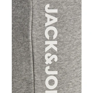 Jack & Jones Jjısıde Soft Sweat Shorts