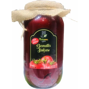 Bahçemis Salça 800 gr