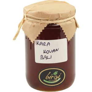 Birgi Köy Evi Doğal Karakovan Balı 850 gr