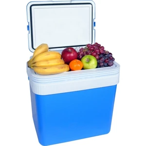 Icepeak SF26 Taşıma Çantası Buzluk 26 Litre