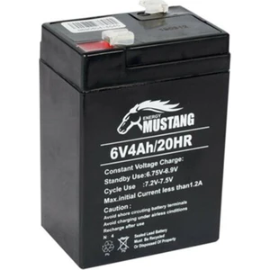 6 Volt 4 Amper Bakımsız Kuru Akü 6V 4 Ah