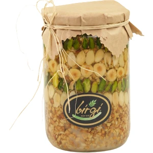 Birgi Köy Evi Ballı Çerez 850 gr