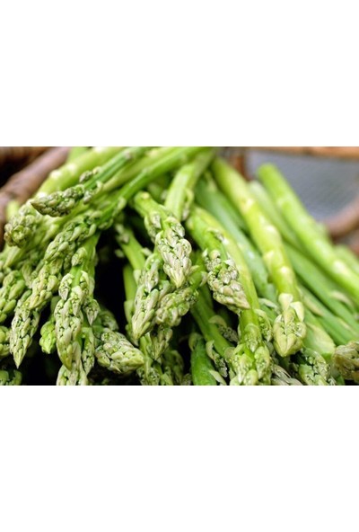 Agro Bazaar Agrobazaar Çok Yıllık Kuşkonmaz Asparagus Tohumu 100 Adet
