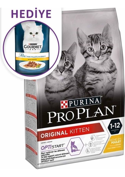 Proplan Kitten Yavru Kuru Kedi Maması 3 kg