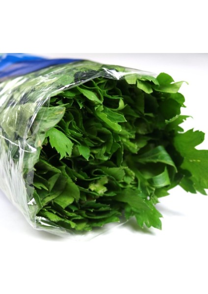 Sap Kereviz 5'li Paket fırsatları