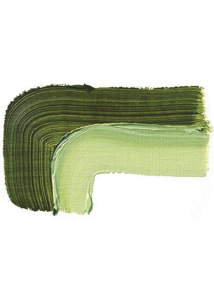 Akademie Öl Color Yağlı Boya 60 ml Seri 1 506 Sap Green