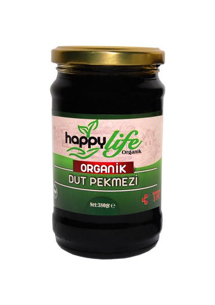 Happy Life Organik Dut Pekmezi 380 gr