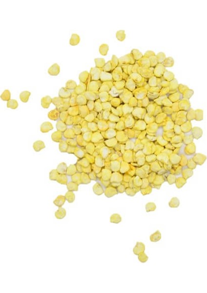 Acı Sivri Biber Tohumu fiyatları