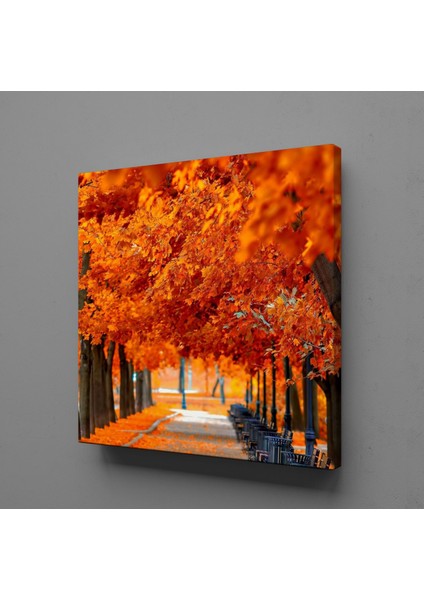 Sonbaharın Büyüsü 50 x 50 cm