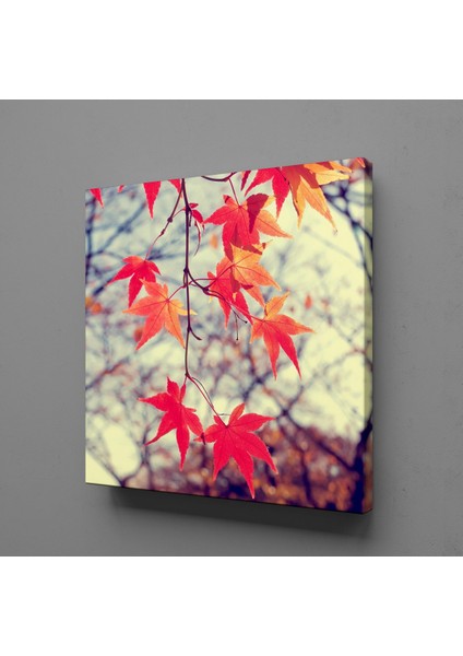 Yapraklar 80 x 80 cm