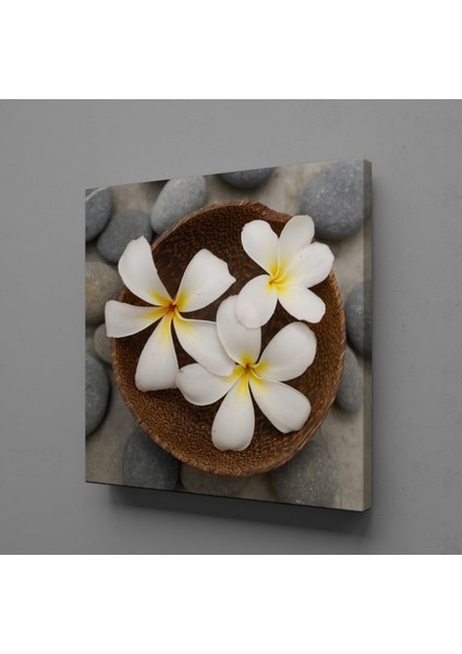 Spa Taşları ve Papatya 150 x 150 cm