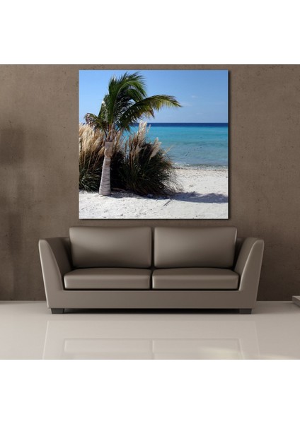 Palmiye Ağacı Kumsalda 170 x 170 cm