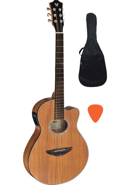 AGX290 Ns Elektro Akustik Gitar