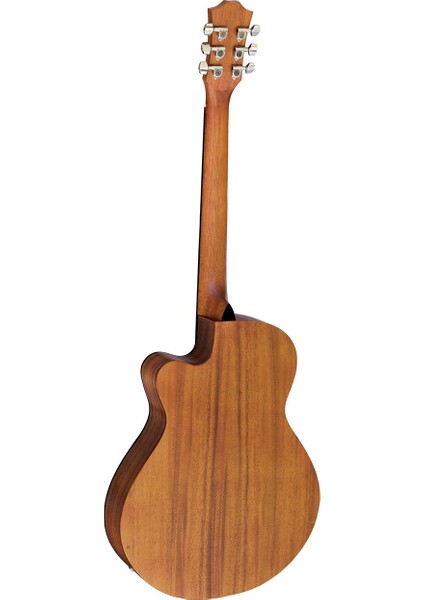 AGX290 Ns Elektro Akustik Gitar