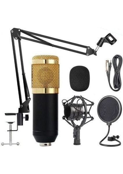 BM800 Set Condenser Kayıt Mikrofonu