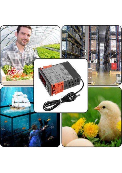 1000 LCD Prob Dijital Termostat - 12V - 2 Kanallı