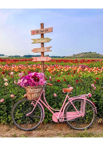 Buzdolabı Magneti - Vintage Bicycle
