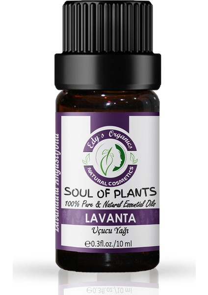 Lavanta Uçucu Yağı
