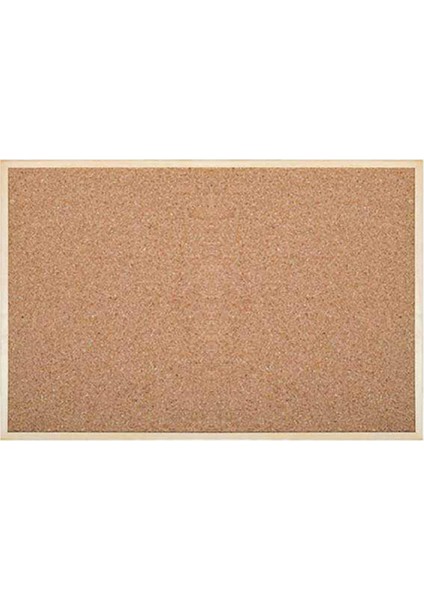 Inter Mantar Pano Ahşap Çerçeve 60X90