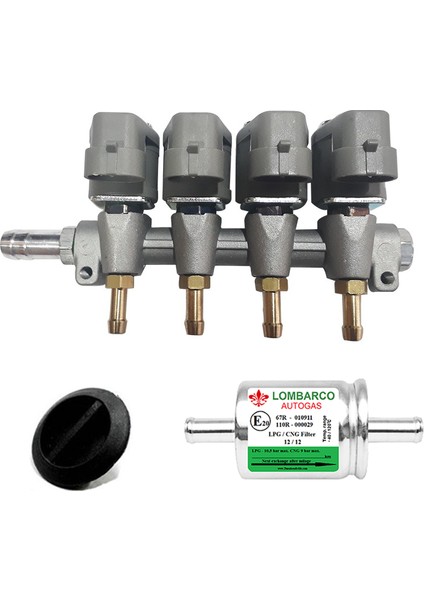 Otogaz Enjektör 2ohm Vikars