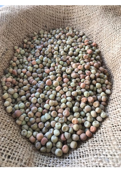 Yem Bezelyesi Tohumu 5 kg