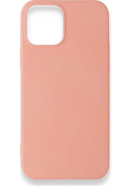 iPhone 12 Pro Kılıf Yumuşak Dokulu Silikon + Ekran Koruyucu Cam Pudra