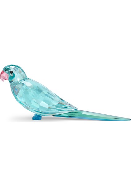 5574519 Swarovski Biblo Jungle Beats:blue Parakeet