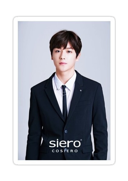 Boyz Hyunjae Sticker Araba Oto Arma Duvar Sticker Ev Dekoratif Çıkartma 15 cm