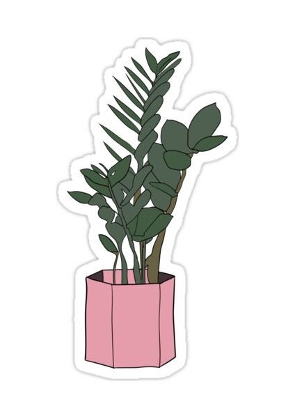 Zanzibar Fabrikası Sticker Araba Oto Arma Duvar Sticker Ev Dekoratif Çıkartma 15 cm