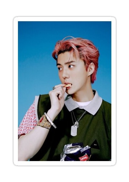 Snack Sehun Sticker Araba Oto Arma Duvar Sticker Ev Dekoratif Çıkartma 15 cm