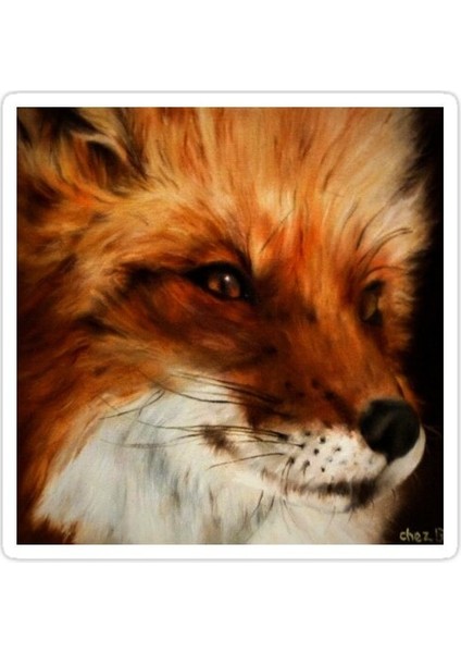 Görünüm Sticker Araba Oto Arma Duvar Sticker Ev Dekoratif Çıkartma 15 cm