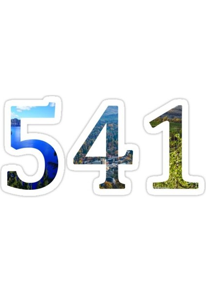 541 Sticker Araba Oto Arma Duvar Sticker Ev Dekoratif Çıkartma 15 cm