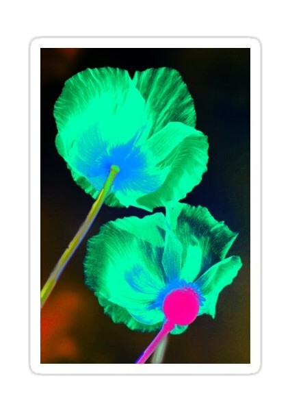 Haşhaş Sticker Araba Oto Arma Duvar Sticker Ev Dekoratif Çıkartma 15 cm