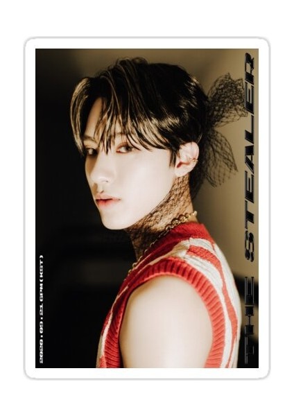 Boyz Eric Sticker Araba Oto Arma Duvar Sticker Ev Dekoratif Çıkartma 15 cm