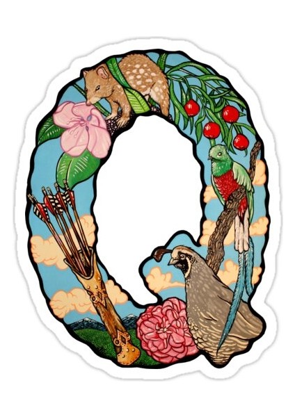 Q Harfi Sticker Araba Oto Arma Duvar Sticker Ev Dekoratif Çıkartma 15 cm