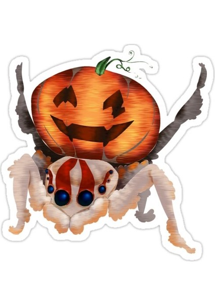 Maratus Jackolantus Sticker Araba Oto Arma Duvar Sticker Ev Dekoratif Çıkartma 15 cm