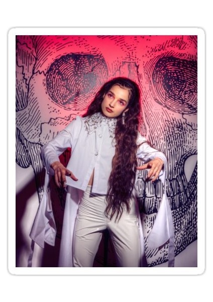 P.oppy 2 Sticker Araba Oto Arma Duvar Sticker Ev Dekoratif Çıkartma 15 cm