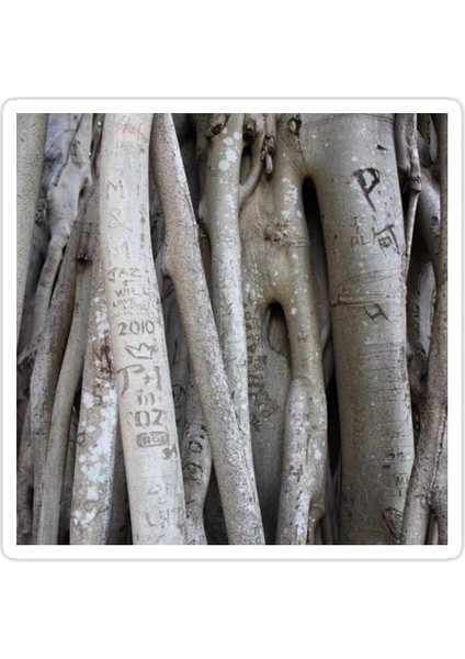 Tatlı Nothings Sticker Araba Oto Arma Duvar Sticker Ev Dekoratif Çıkartma 15 cm