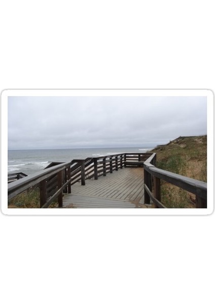 Plaj Sticker Araba Oto Arma Duvar Sticker Ev Dekoratif Çıkartma 15 cm