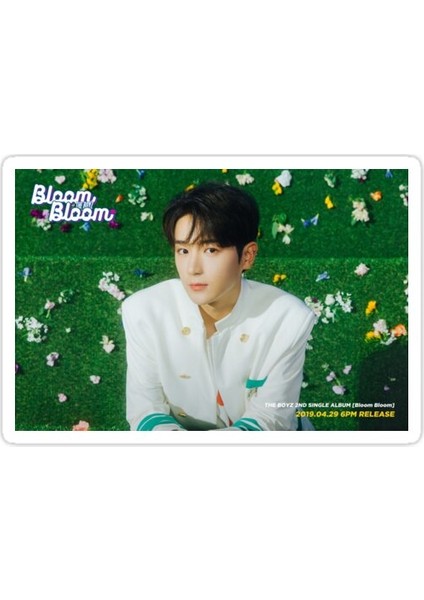 Boyz Hyunjae Sticker Araba Oto Arma Duvar Sticker Ev Dekoratif Çıkartma 15 cm