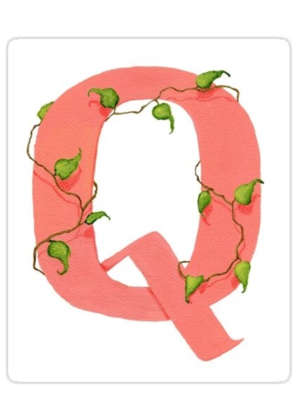 Q Harfi Sticker Araba Oto Arma Duvar Sticker Ev Dekoratif Çıkartma 15 cm