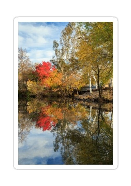 Chico Sonbahar Sticker Araba Oto Arma Duvar Sticker Ev Dekoratif Çıkartma 15 cm