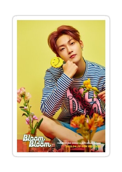 Boyz Kevin Sticker Araba Oto Arma Duvar Sticker Ev Dekoratif Çıkartma 15 cm