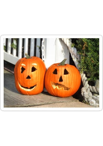 Gerçek Şey Sticker Araba Oto Arma Duvar Sticker Ev Dekoratif Çıkartma 15 cm