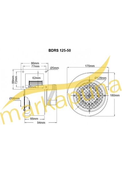 BVN Bahçıvan BDRS 125-50 Sac Gövdeli 250 m³/h Salyangoz Fan